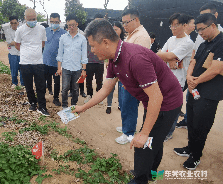 道滘开展红火蚁防控技术专题培训班