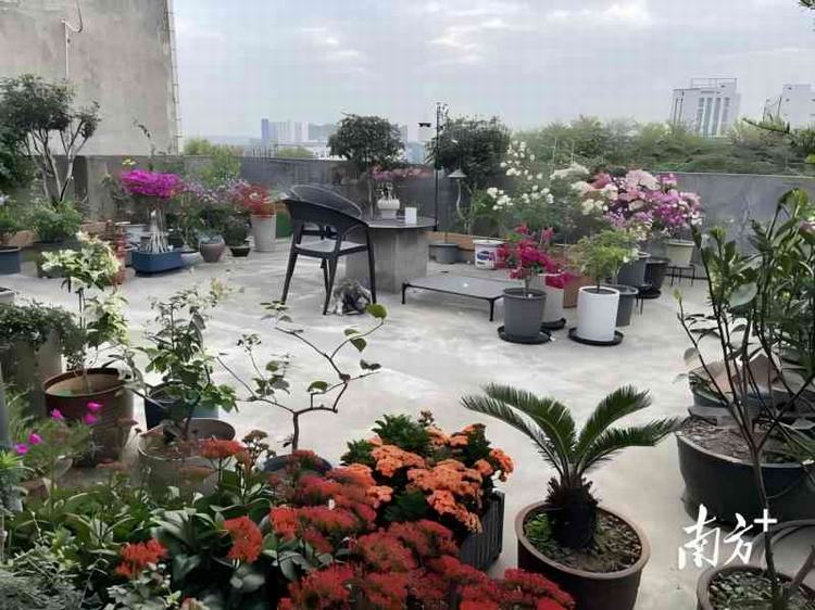 沙田“美丽庭院”：既有“看头”更有“赚头”，助力居民增收