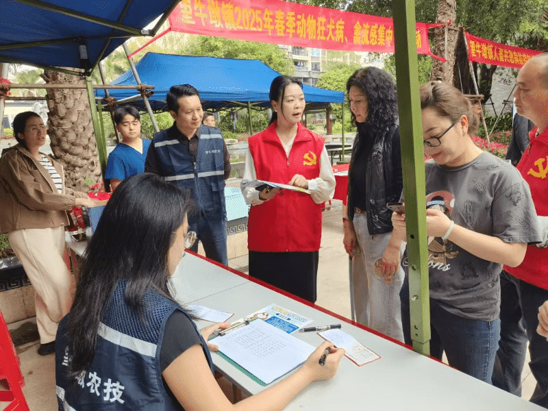 望牛墩：党建领航筑牢防线，春季防疫守护安全