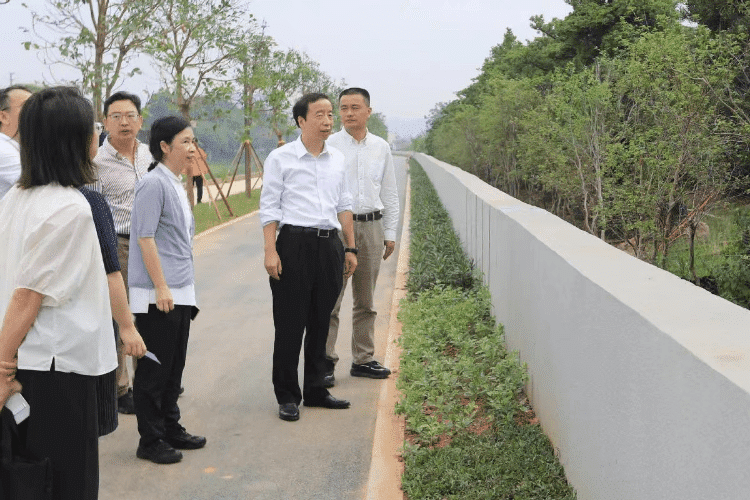 市委书记肖亚非赴寮步镇督导镇村绿化、森林防火并开展巡林工作