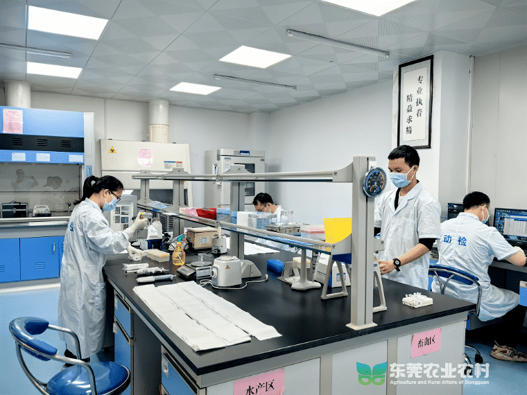 厚街2024年一季度积极推进动物疫病监测工作