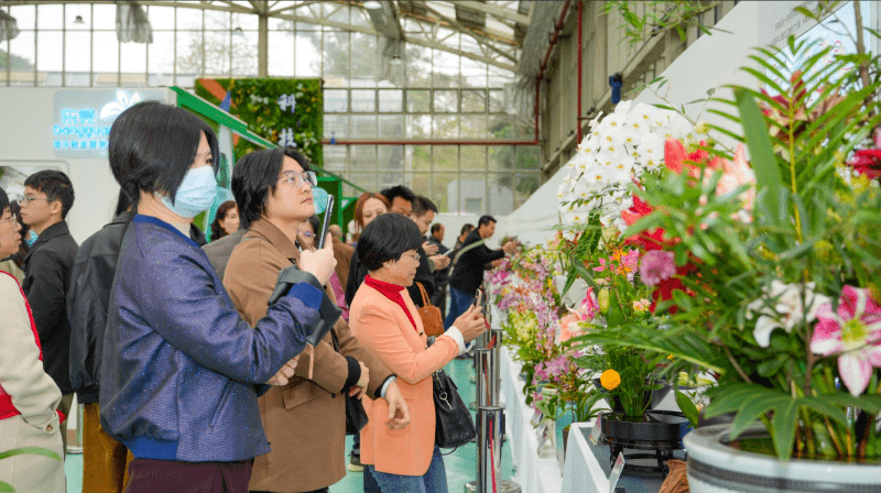 花开莞邑春意浓，2025东莞“兰花·朱顶红”展盛情启幕