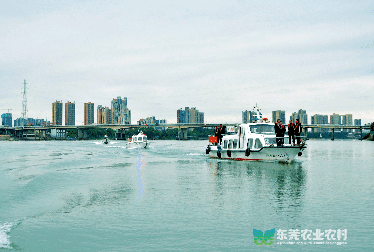 市海洋综合执法支队开启2024年珠江禁渔专项执法行动