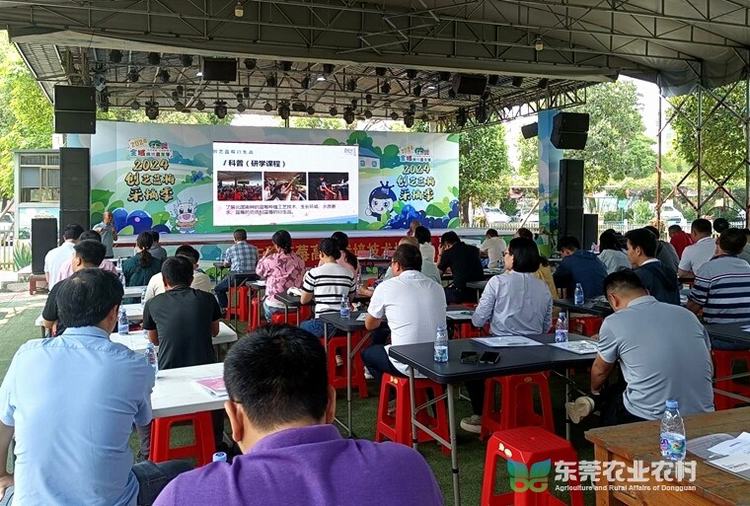 东莞麻涌举办蓝莓高效栽培技术培训班