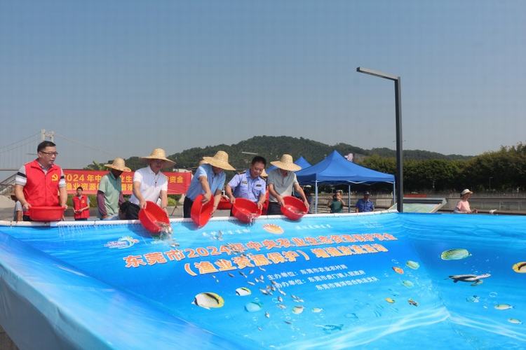 东莞放流超1500万尾鱼虾苗，助力渔业资源保护