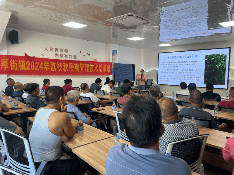 厚街开启2024年荔枝秋梢期管理技术培训班！