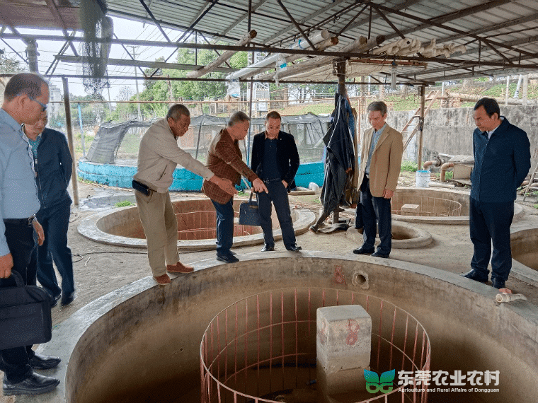 市疫控中心赴石碣镇开展动物防疫检疫工作调研