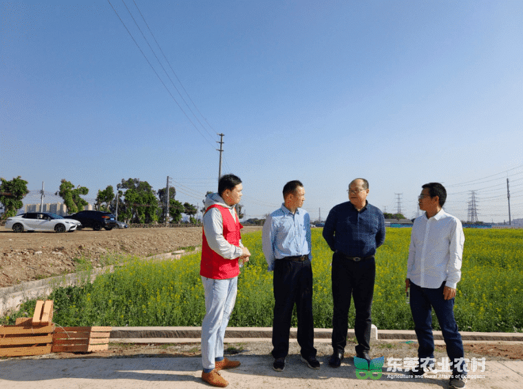 “轻骑兵”春耕护航，农技先行助力高产