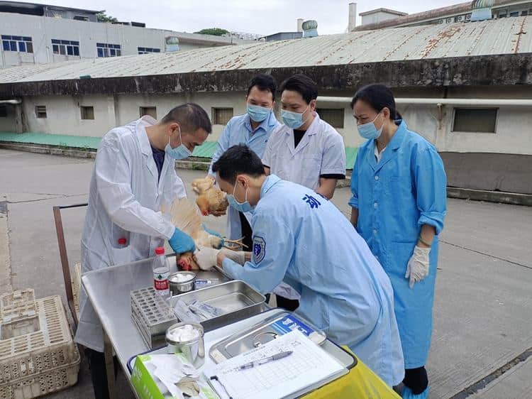 强化全过程管理，提升防疫实操技能培训实效