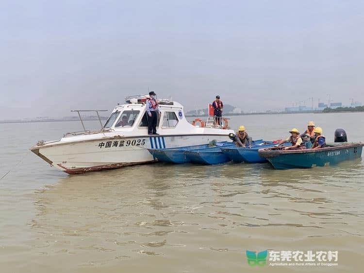 东莞启动涉渔“三无”船舶清理整治联合执法行动