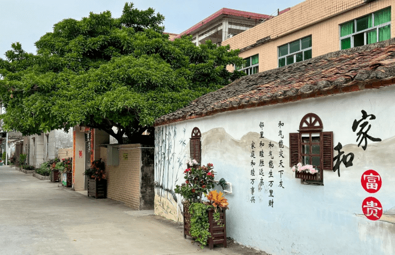 桥头东江村打造“美丽庭院”：乡村颜值经济双提升