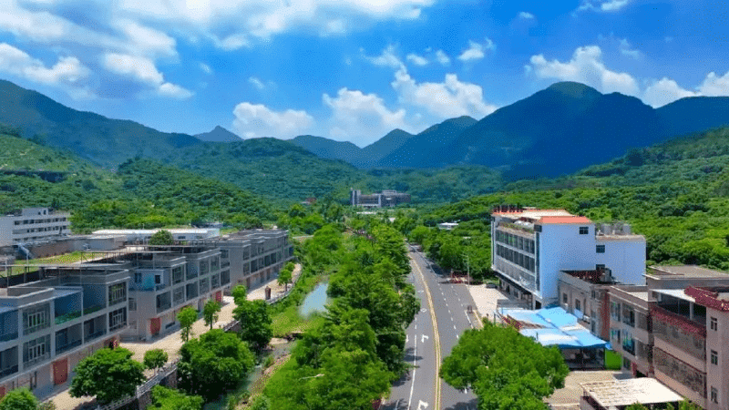 谢岗：聚焦“典型村”培育，精准谋划“百千万工程”项目