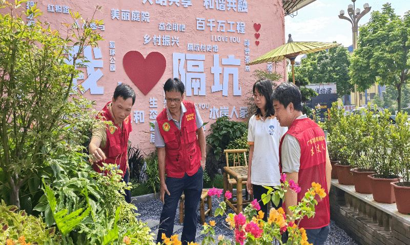 市农科中心“轻骑兵”团队赋能隔坑村美丽庭院焕新