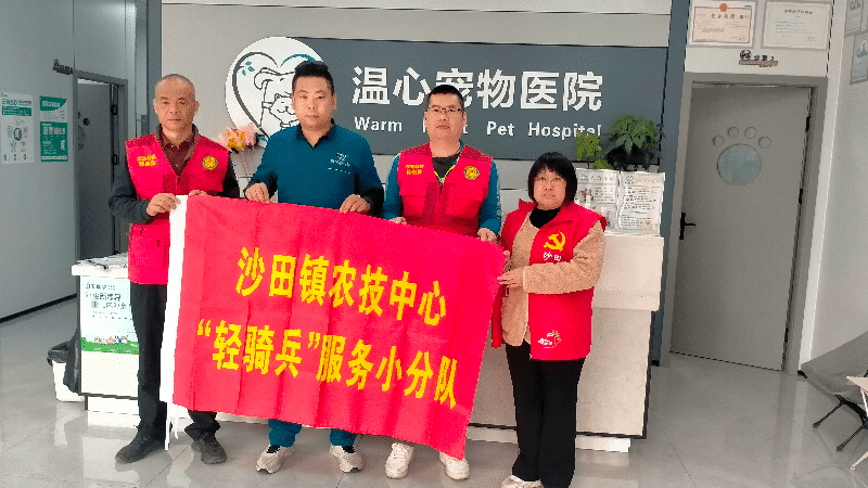 沙田镇举办动物诊疗现场指导服务活动