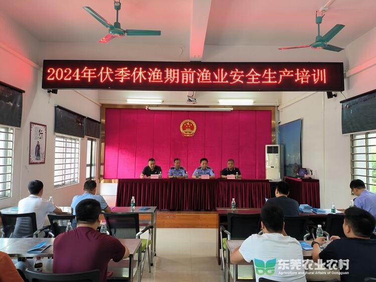 东莞全面推进海洋伏季休渔启动前执法监管工作