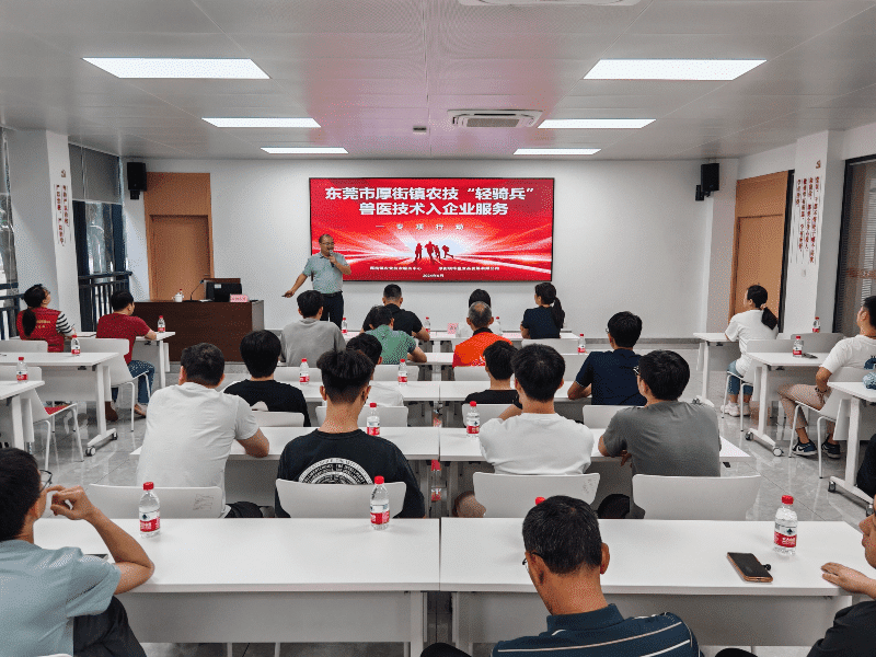 厚街农技“轻骑兵”举办屠宰环节猪牛“三腺”摘除技术培训活动