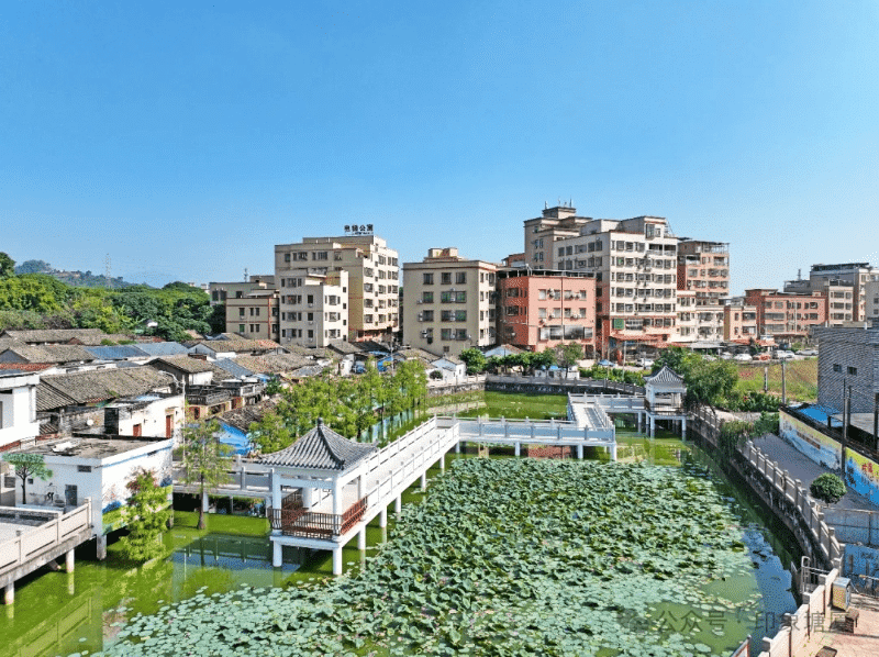 大美塘厦山水间，横塘绘就幸福底色