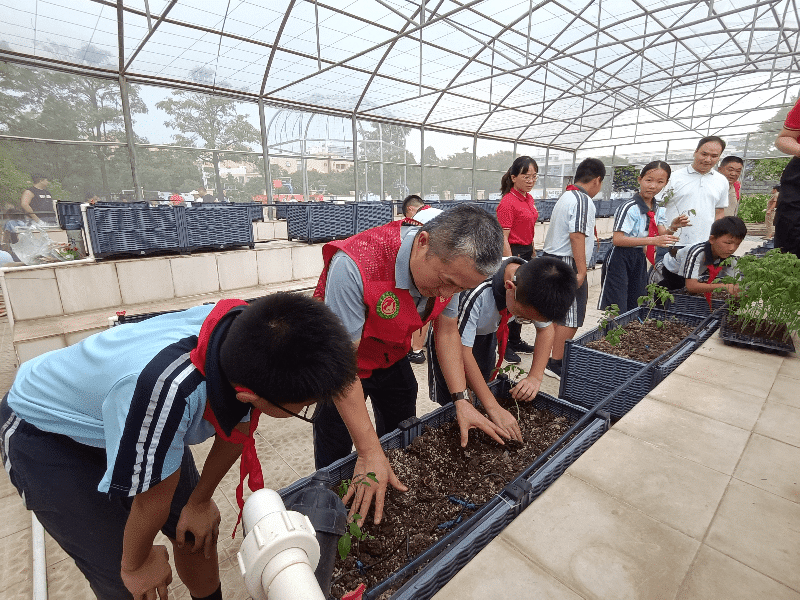 市农科中心“轻骑兵”进校园开展育菜科普活动