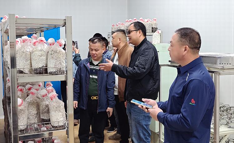 市农科中心举办食用菌栽培技术现场交流活动