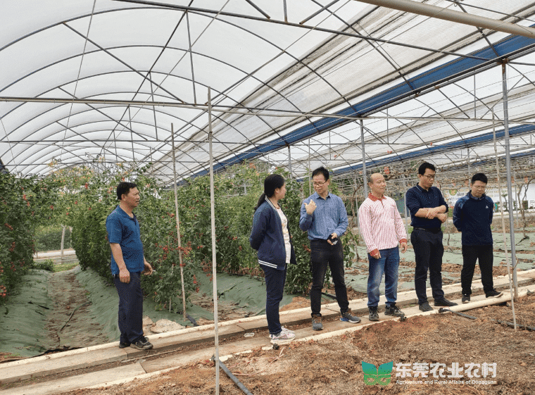 “轻骑兵”送种上门，农科中心助力春耕