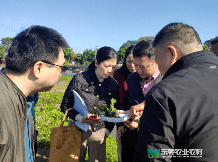 我市开展水产苗种生产检查，筑牢质量安全源头防线