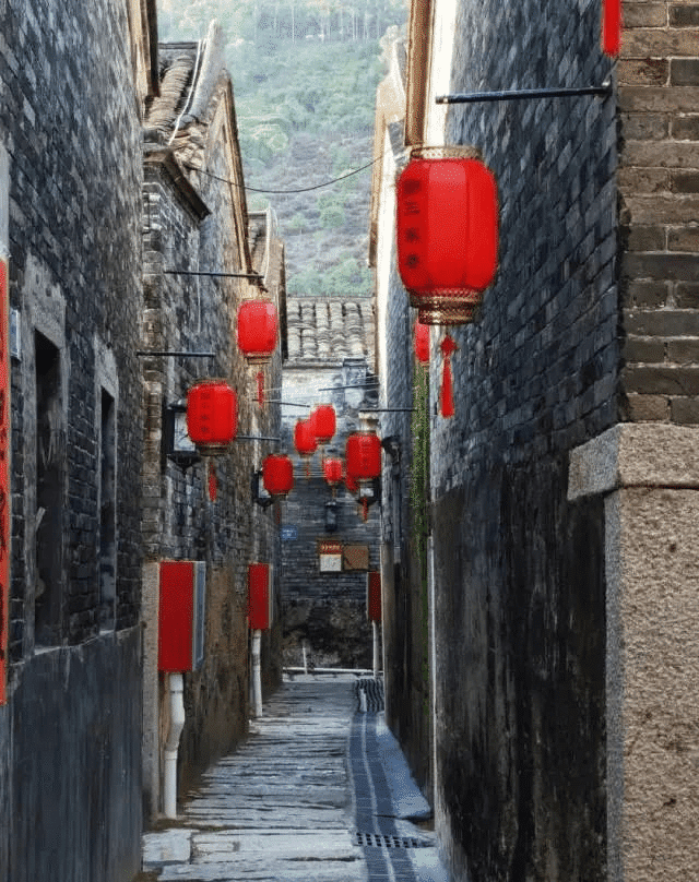 东莞推进五大行动，乡村展焕全新气象