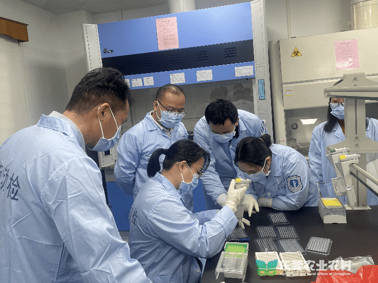 扎根主业服务基层，兽医“轻骑兵”奔赴行动一线