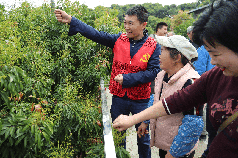 农业科技特派员（轻骑兵）进村授技，为“谢岗荔枝”注入新活力