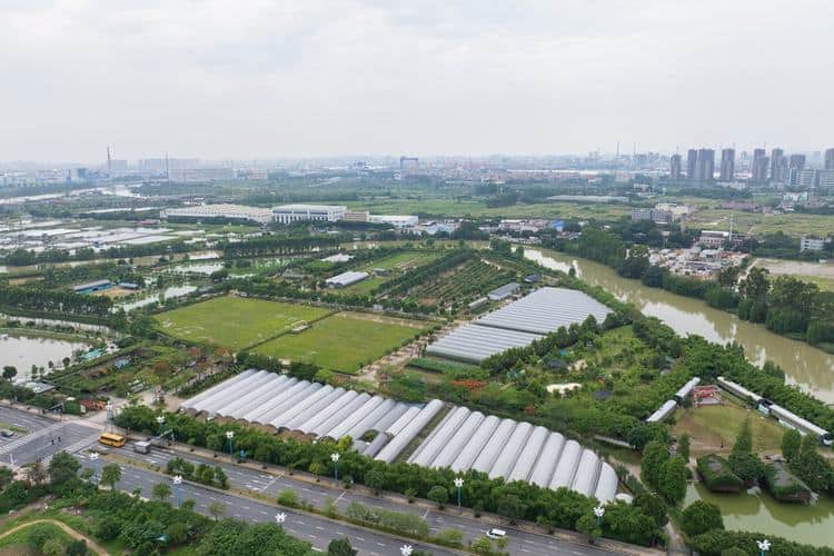 吃货必看！麻涌农业园海量水果即将甜蜜登场