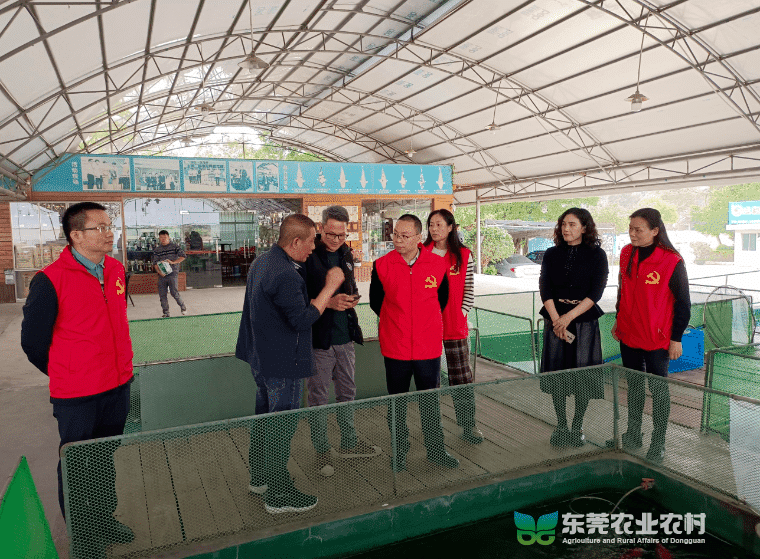 市疫控中心送技术下乡，为乡村振兴注入“智”动力