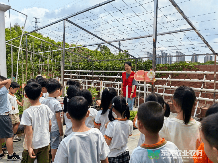 东坑农业科普活动走进校园