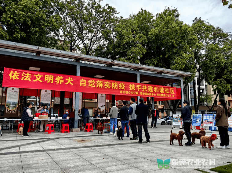 厚街2024年动物疫病春季大防工作正式启动