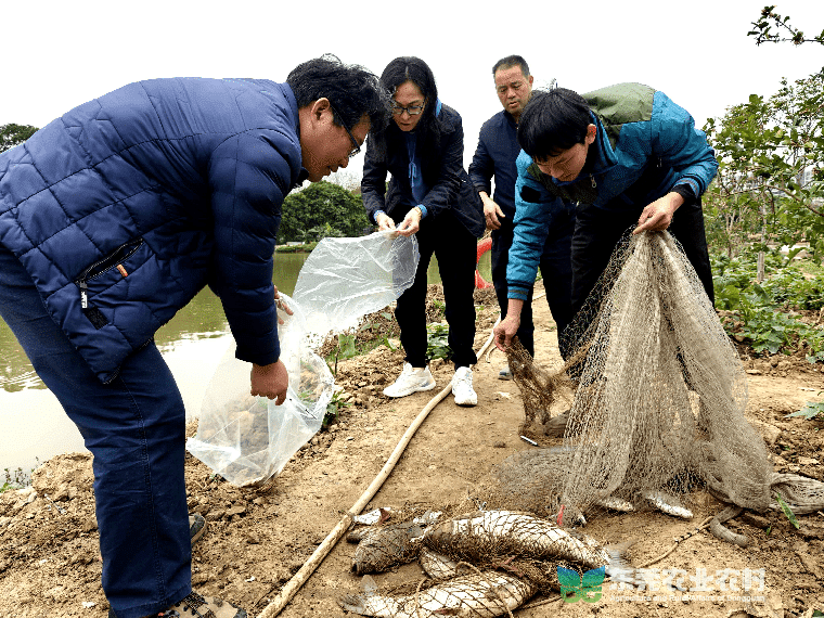 市镇携手开展水产品质量安全风险监测行动