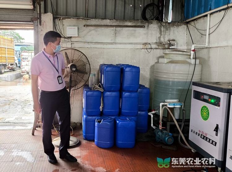 市农业农村局节前督导检查道滘三鸟交易市场