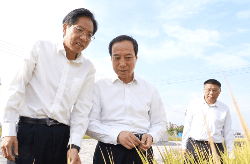 吕成蹊调研粮食生产、航天育种示范及农业设施科技创新工作