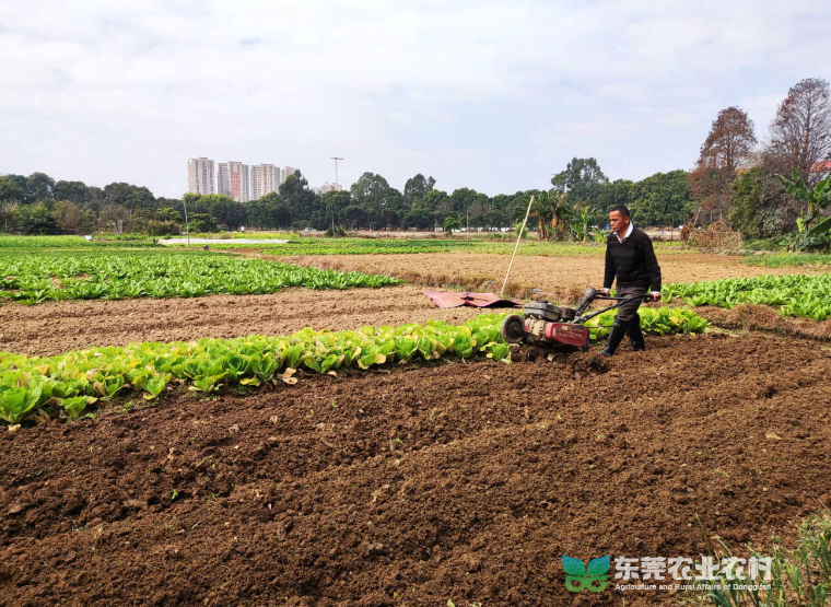 天气晴暖正当时，春耕备耕忙起来