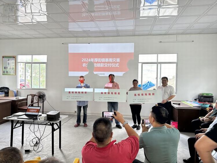 赔付664万！东莞政策性农险成厚街减产荔农“保护伞”