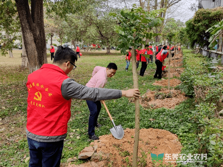 清溪加速打造“三美”和美乡村
