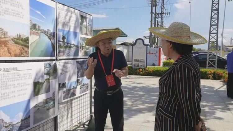 市镇人大代表开展“绿美沙田”建设工作专题调研