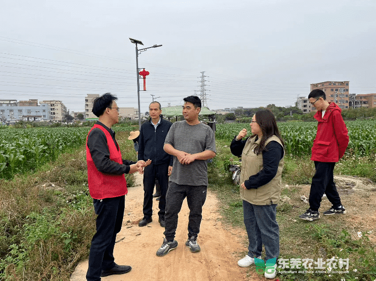 市农技“轻骑兵”上门服务，为横沥镇春耕生产添动力