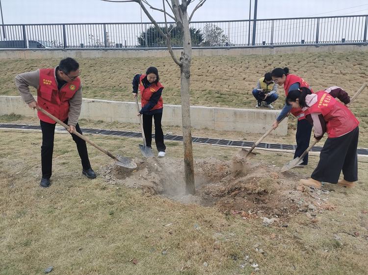 石碣植树添绿，为“百千万工程”注入蓬勃力量