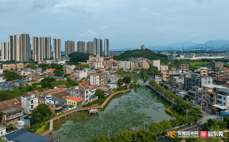 桥头石水口村：“荷塘悦色”休闲景观，为乡村颜值加分