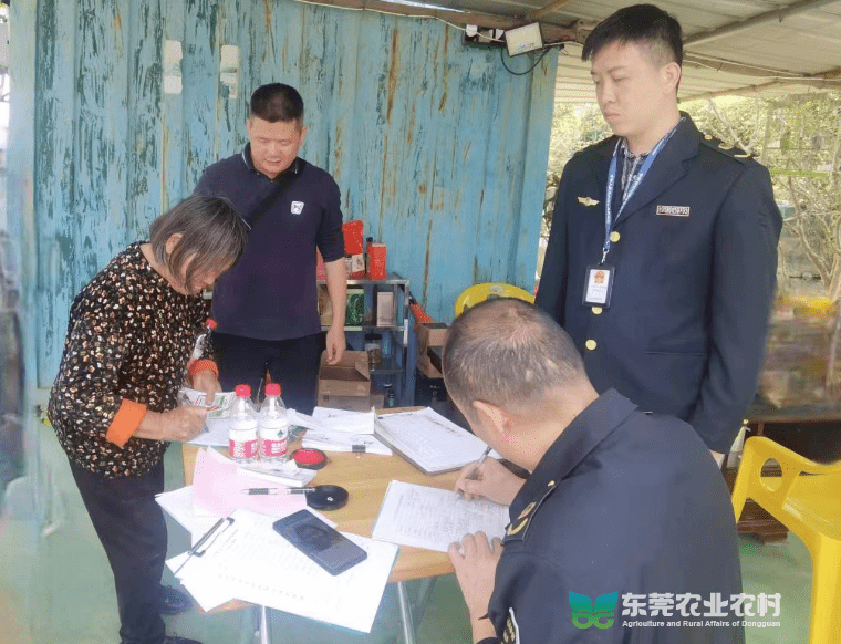 道滘积极协助开展省级农产品监督抽查工作