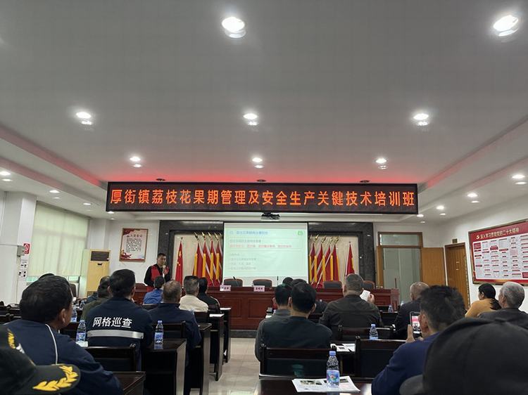 市镇农业科技特派员携手，为厚街高品质荔枝发展保驾护航