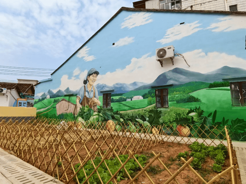 东坑打造244个“四小园”，乡村“颜值”持续上扬