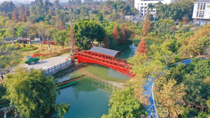 “百千万工程”勾勒乡村振兴图景，东莞麻涌村民共话乡村变迁