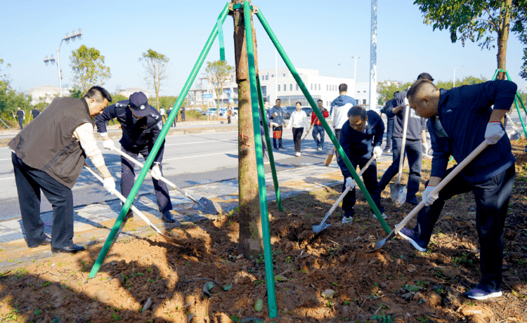 聚合力共筑“乡村绿韵”，绘就沙田绿美新图景