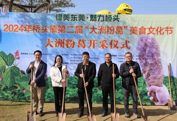 《“粉葛王”是谁？桥头镇第二届大洲粉葛美食文化节盛大启幕》