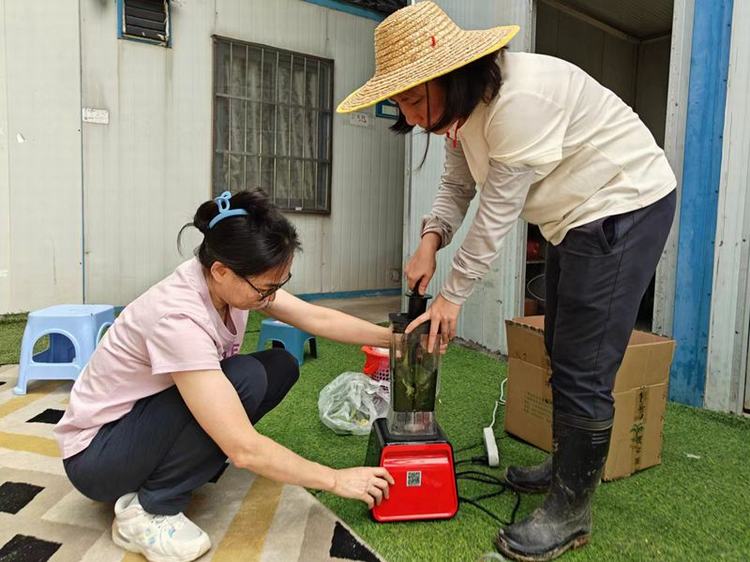 道滘启动豇豆专项执法抽检行动