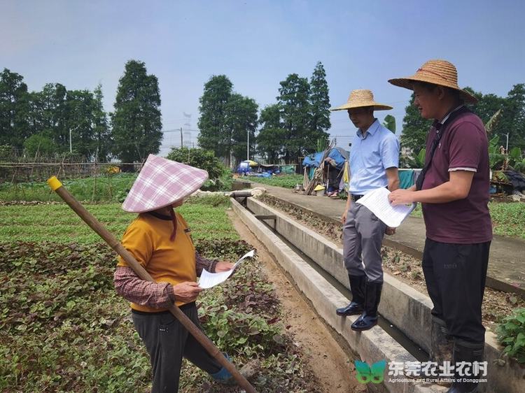 道滘雨后开展复产技术指导工作